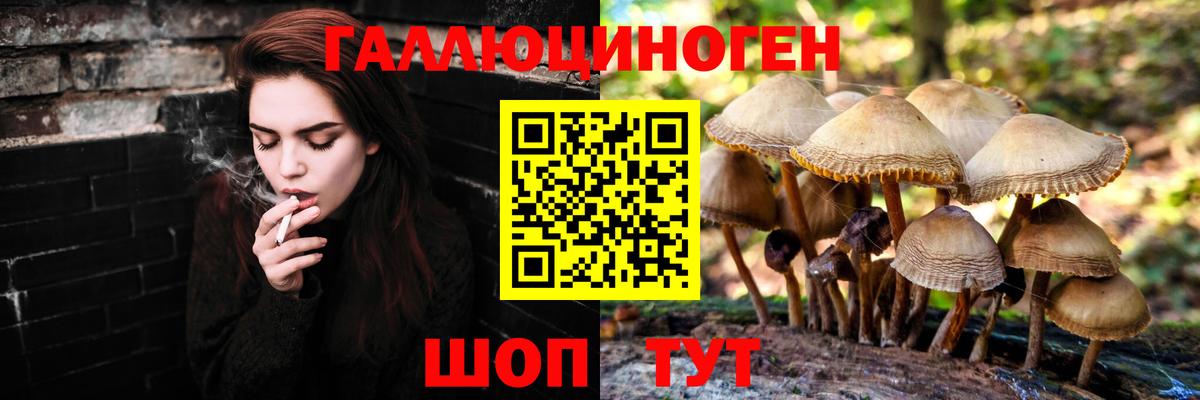 Галлюциногенные грибы MAGIC MUSHROOMS Аргун
